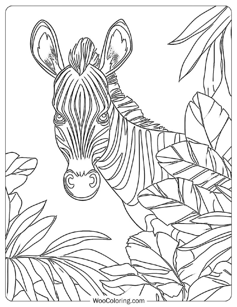 Zebra Coloring Page