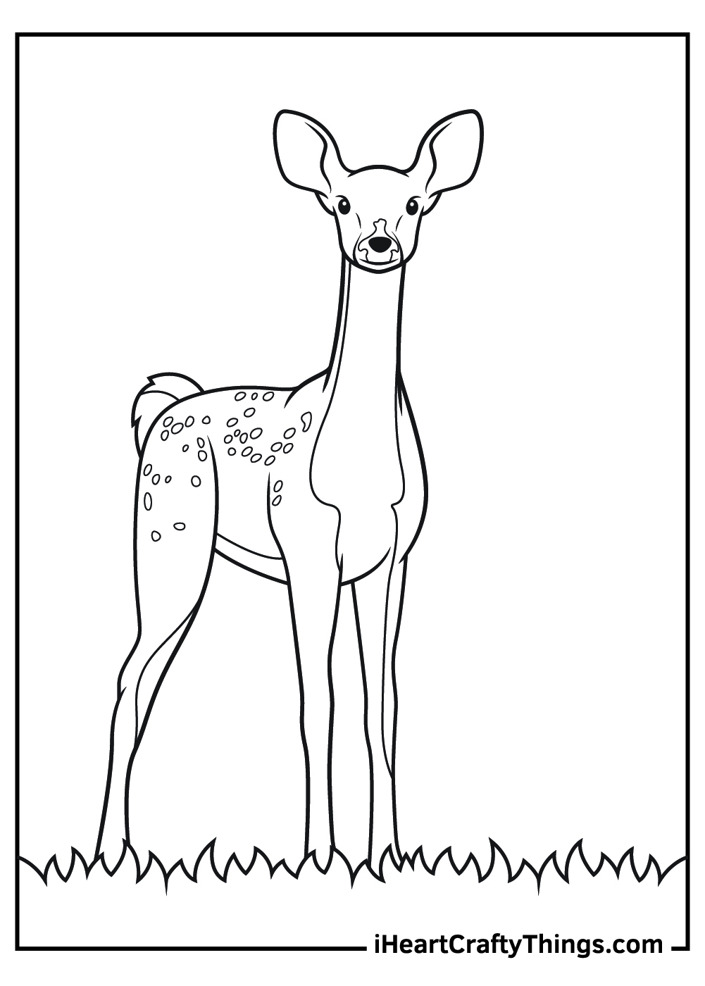 Cute Realistic Animal Coloring Pages