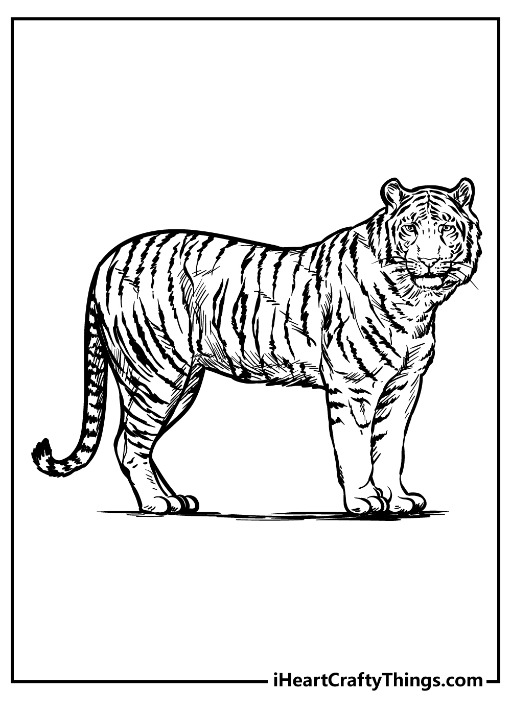 Zoo Coloring Pages for Adults