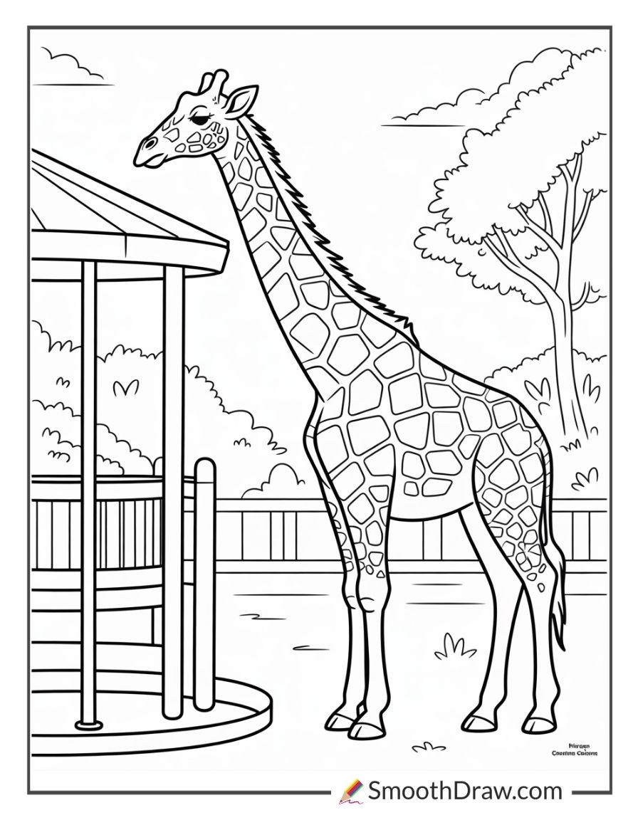 37 Zoo Coloring Pages Free Printable PDFs Smooth Draw