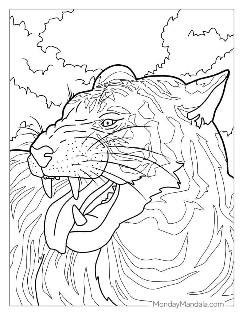 40 Tiger Coloring Pages Free PDF Printables 