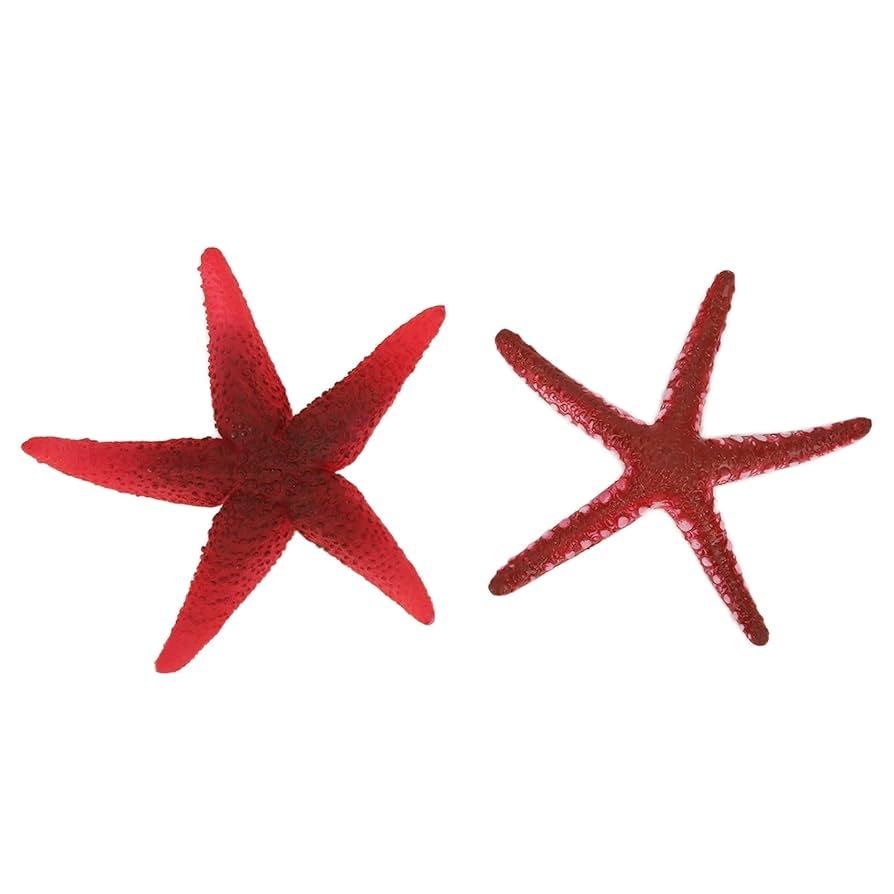 Amazon Soft And Flexible Sea Star Artificial StarfishSilicone Starfish For Cute Fish Fish Decoration And Landscaping Supplies Pet Supplies