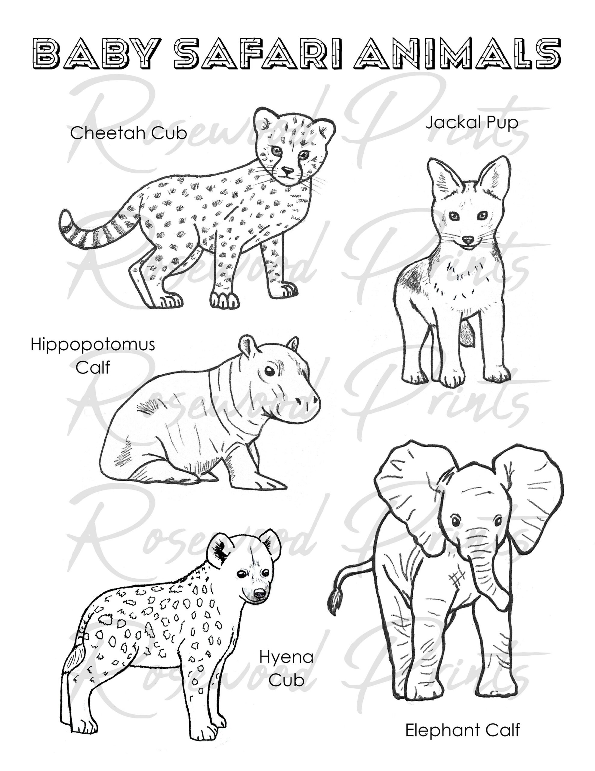 Baby Safari Animals Coloring Pages Etsy