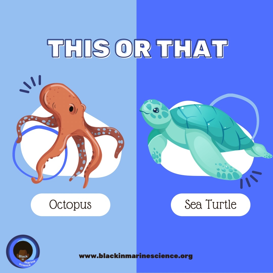 Black In Marine Science On X This Or That Octopuses Or Sea Turtles Https t co 1tBzATbL8h X