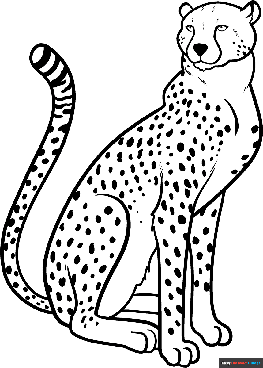 Cheetah Color Sheet