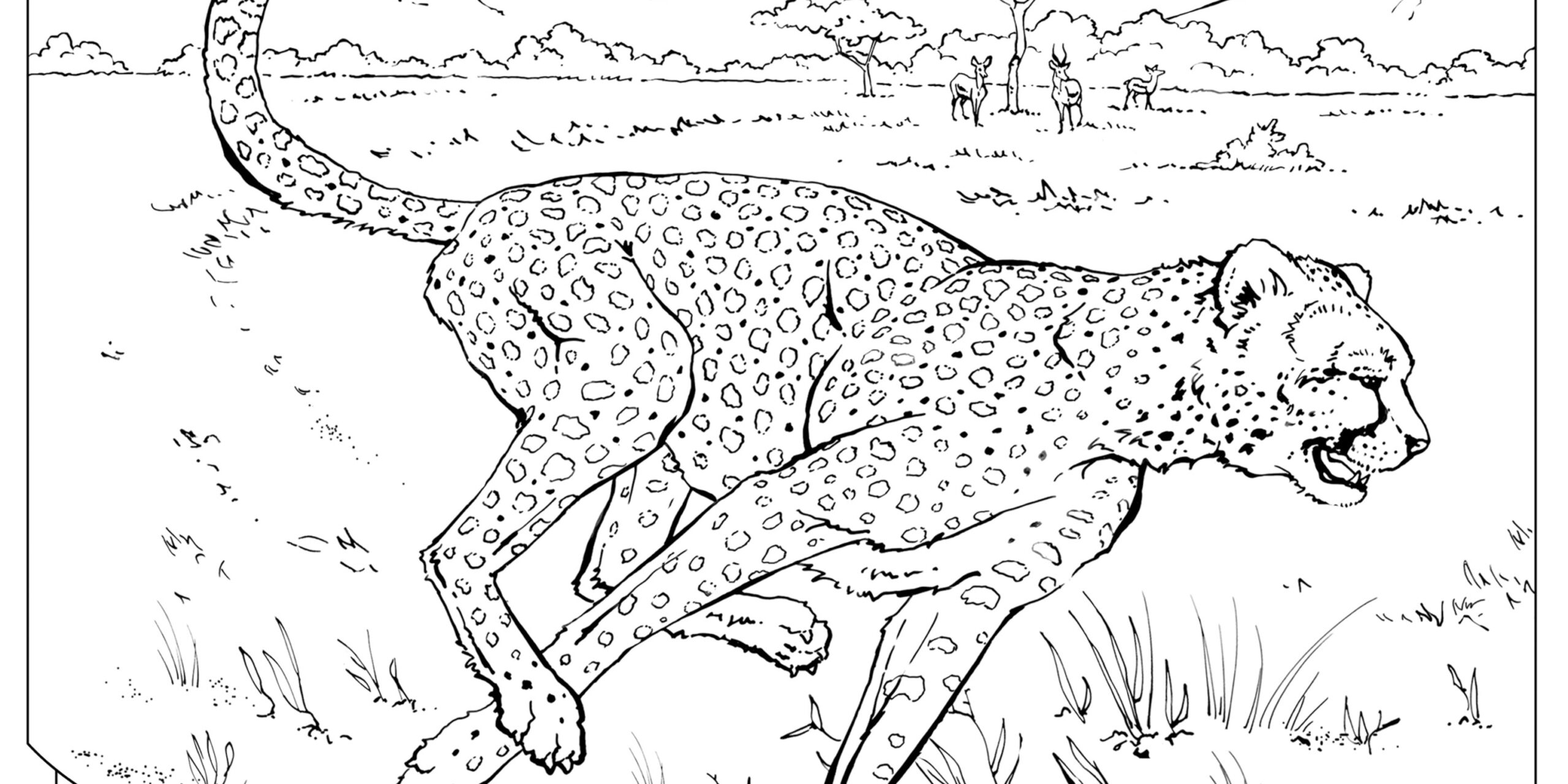 Realistic Wild Animal Coloring Pages