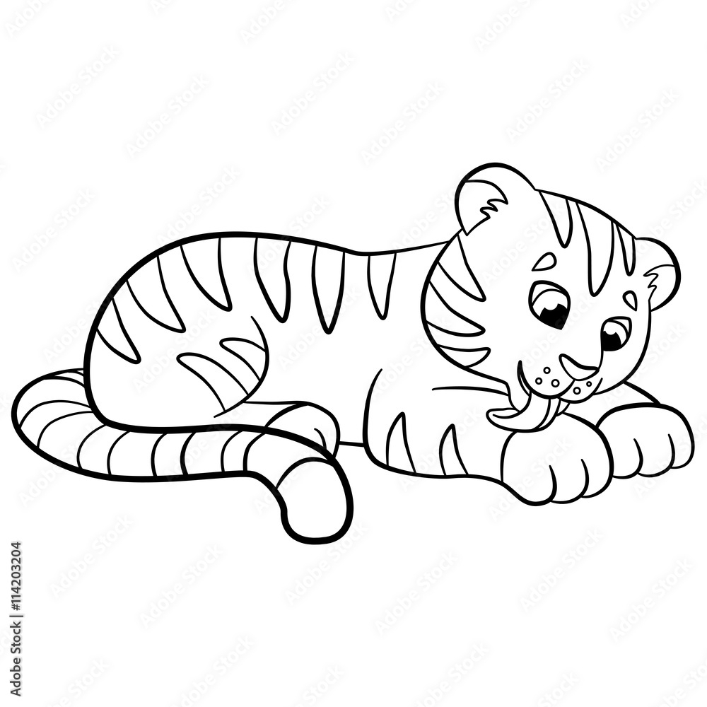 Coloring Pages Wild Animals Little Cute Baby Tiger Cleans Himself Stock Vector Adobe Stock