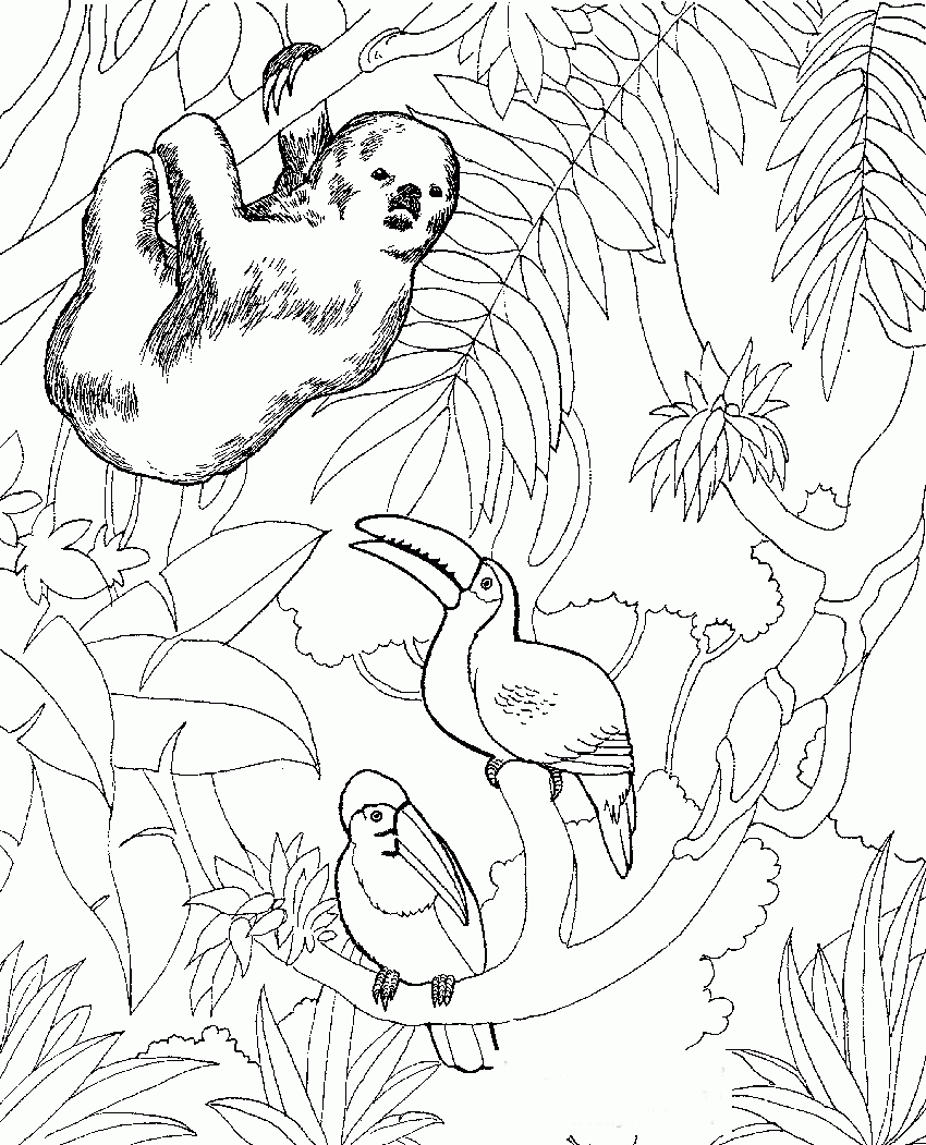  Coloring Pages Zoo Animated Images Gifs Pictures Animations 100 FREE 