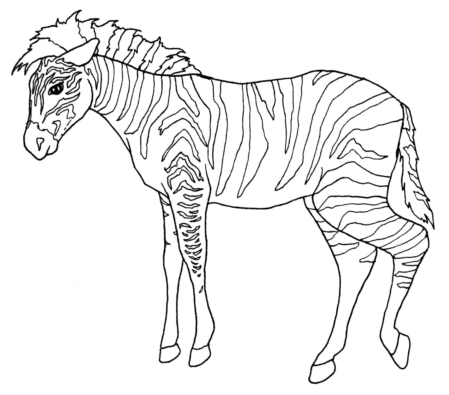 Wild Animals Coloring Pages For Adults