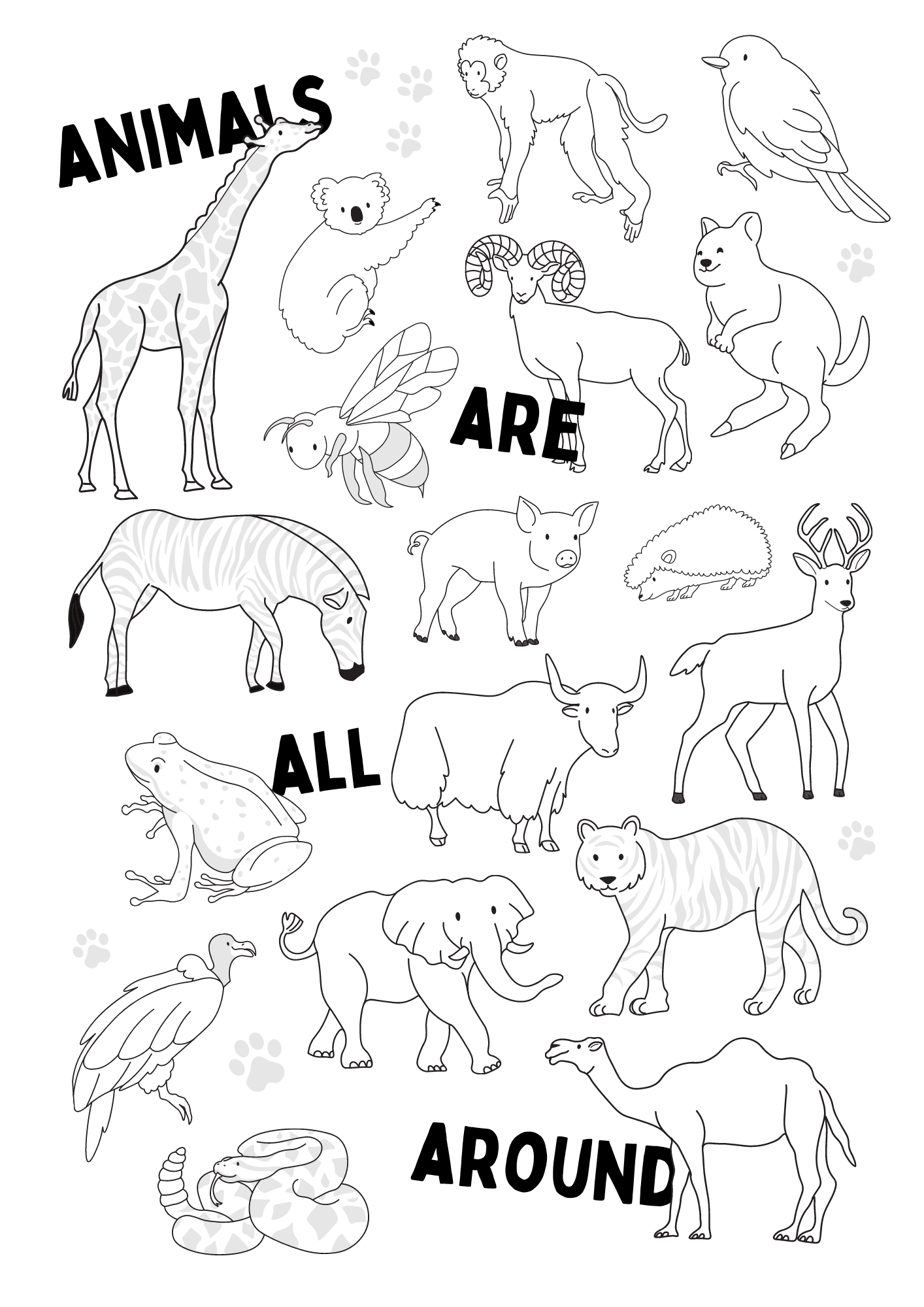 All Animal Coloring Pages
