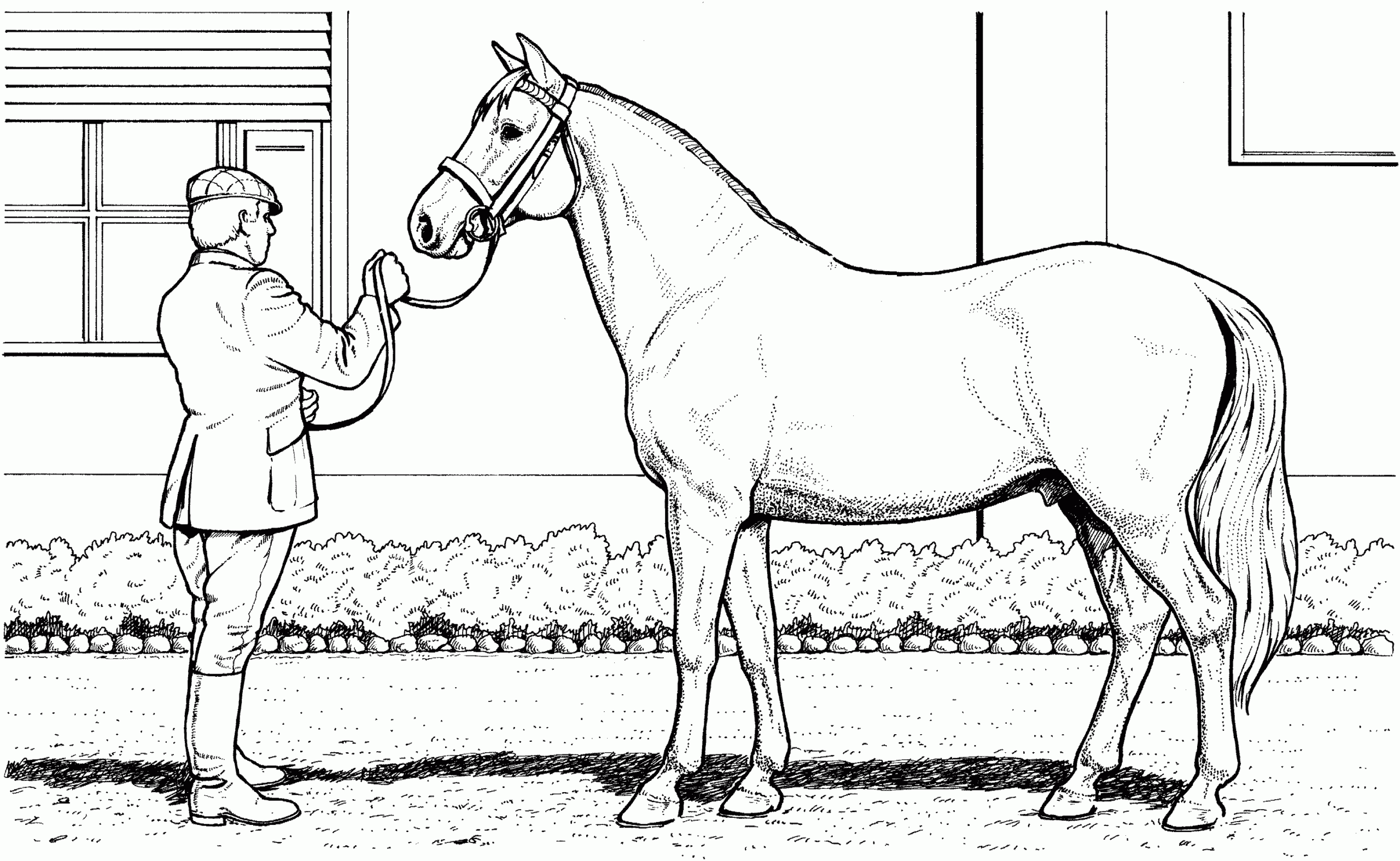 Quarter Horse Coloring Pages Realistic