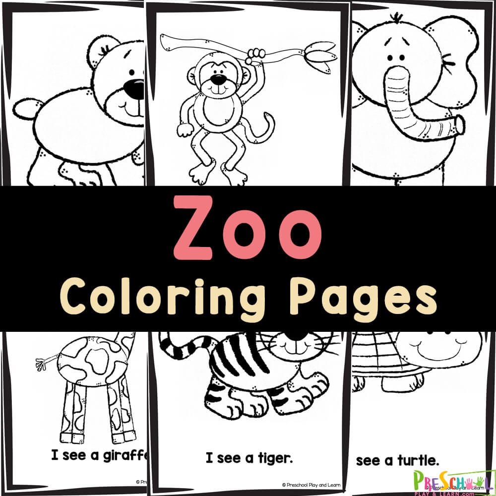 Zoo Animal Coloring Pages for Preschool