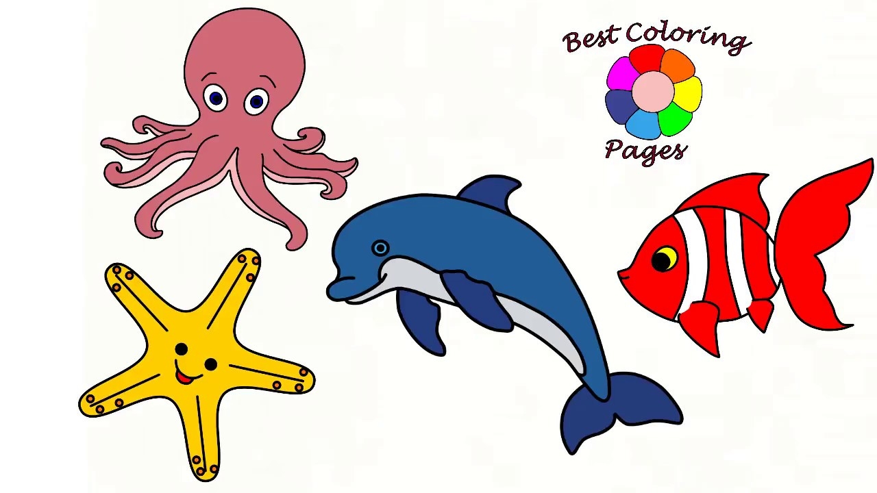 How To Draw A Dolphin A Fish An Octopus A Starfish Learn Color YouTube