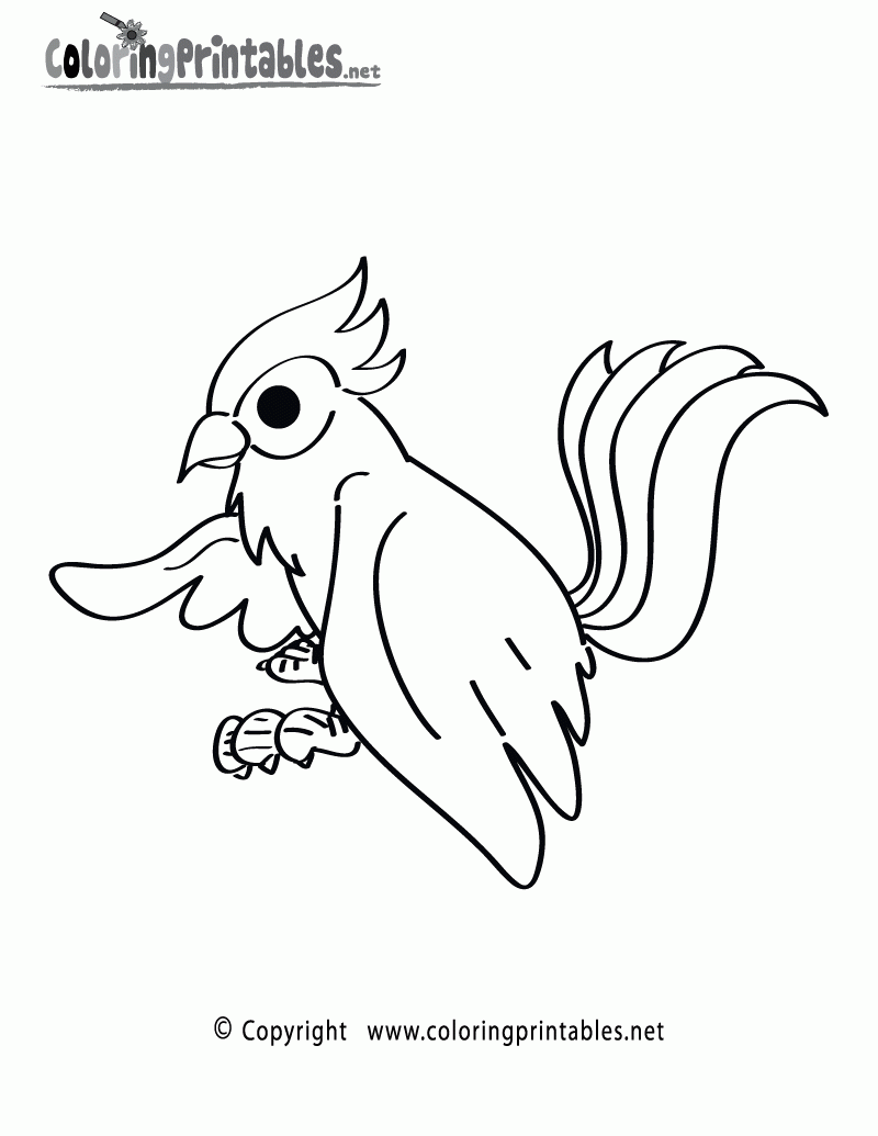 Jungle Birds Coloring Pages