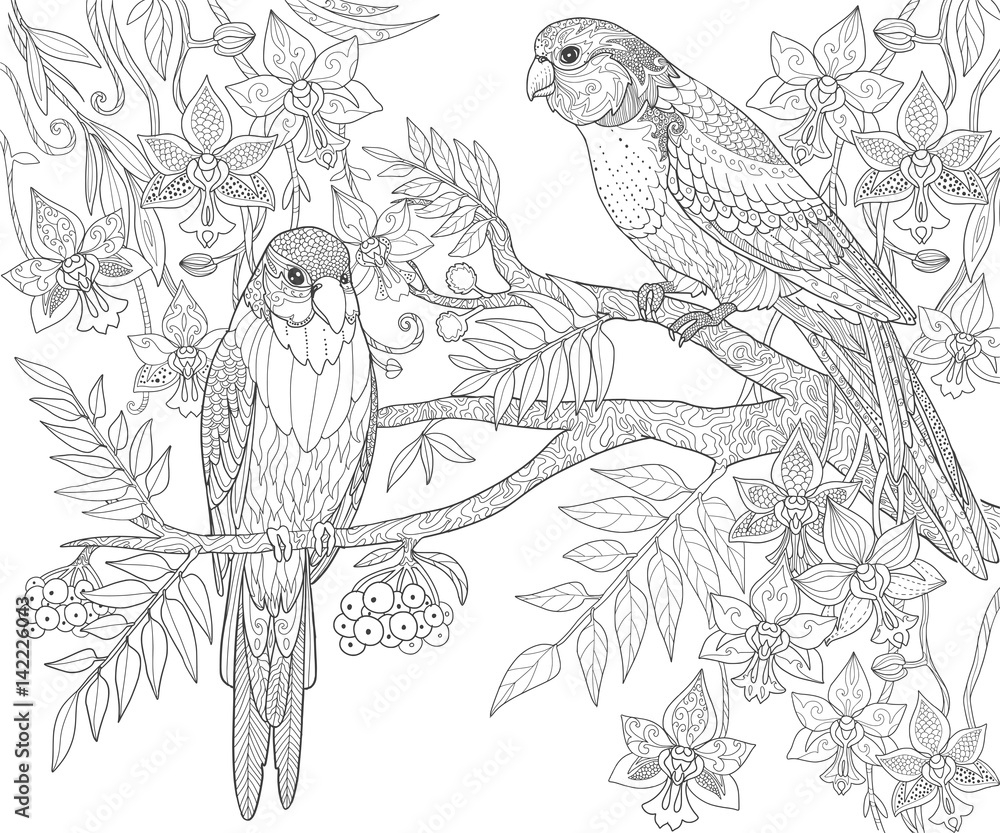 Parrots Sit On A Branch In The Jungle Adult Coloring Book Page Doodle Tropical Birds Vector Illustration Stock Vector Adobe Stock
