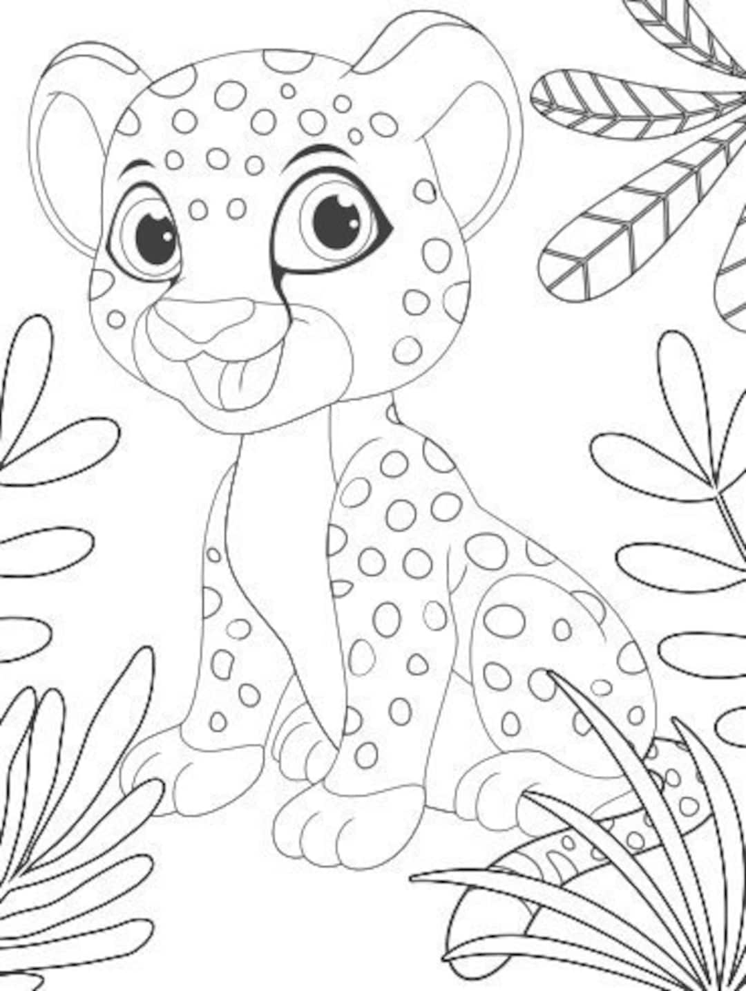 Cheetah Coloring Pages Printable