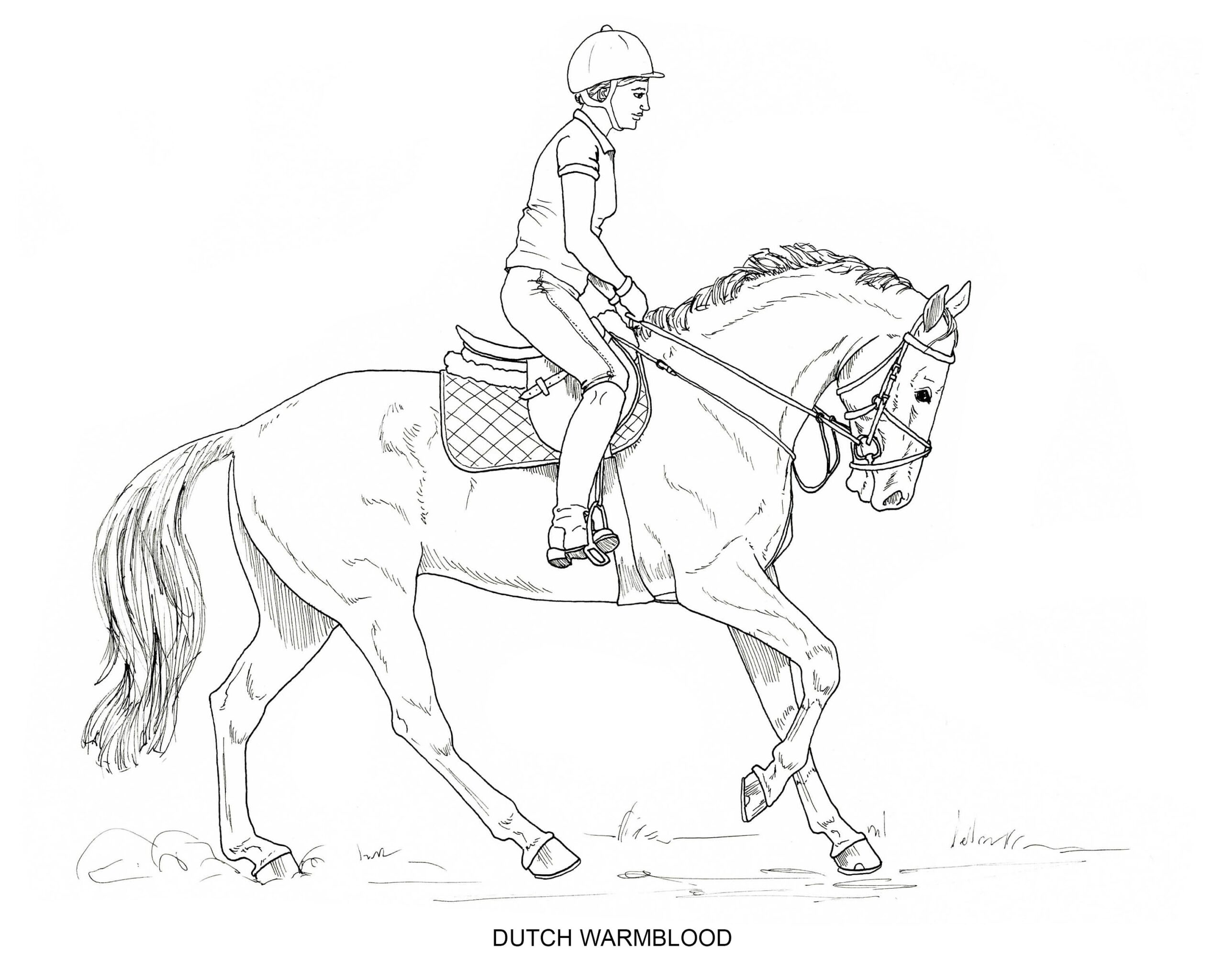 PRINTABLE Set Of 10 Horse Breed Coloring Pages 2 Digital Download Etsy