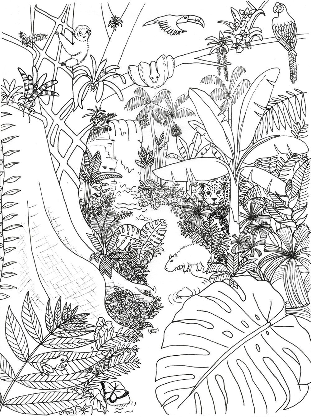 Jungle Scene Coloring Pages