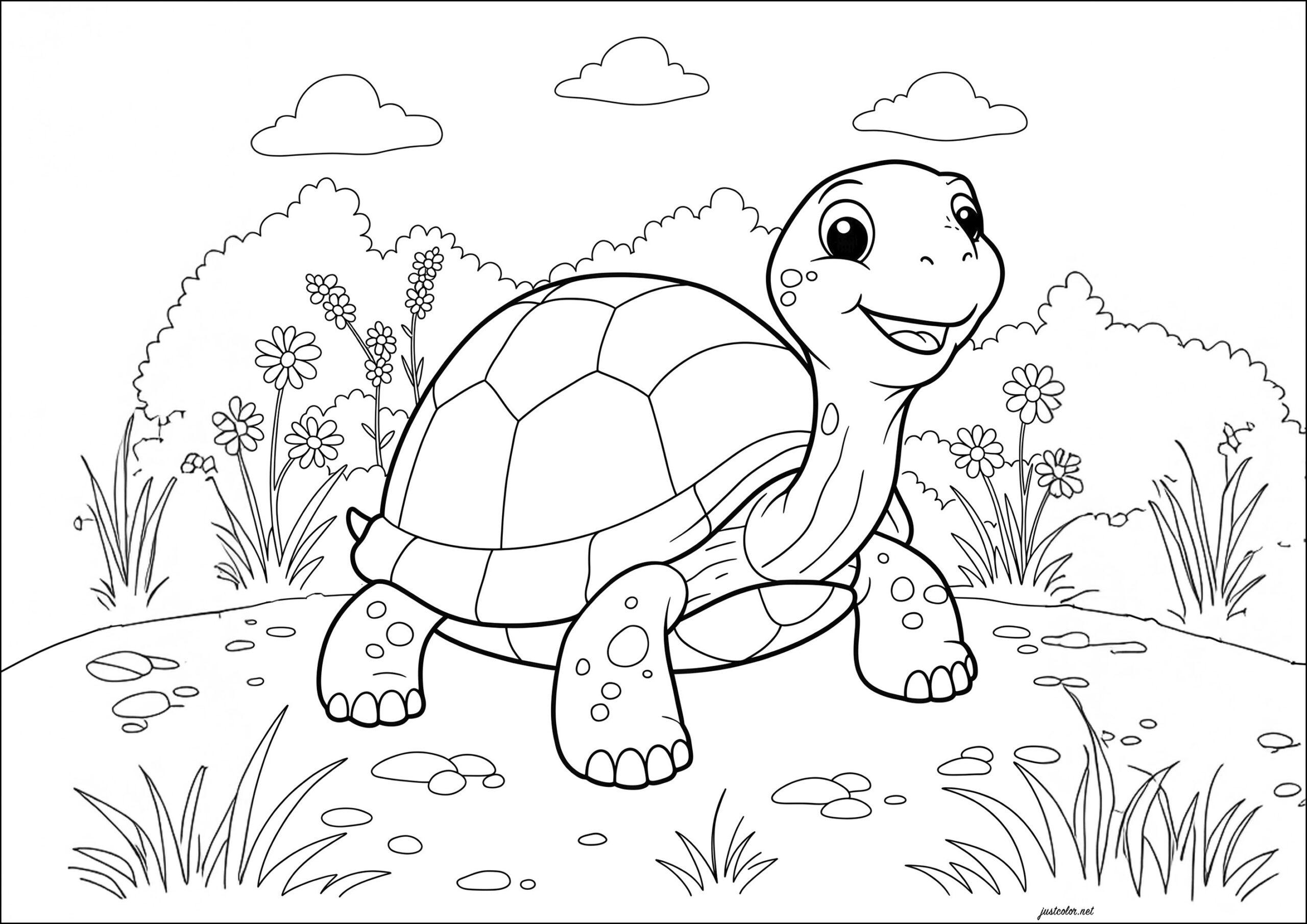 Turtle Coloring Pages