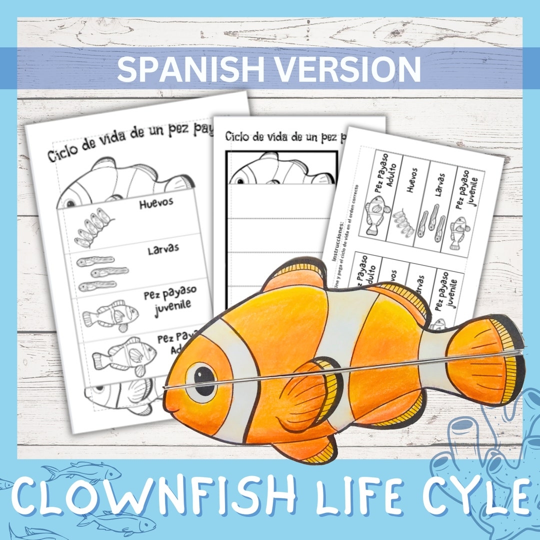 clownfish parts worksheet