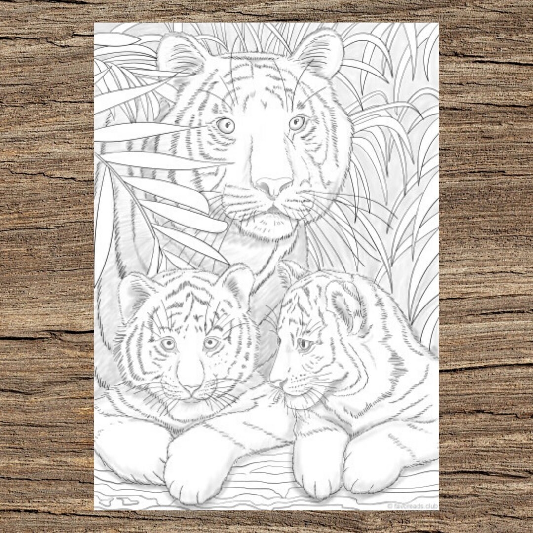 Tigers Printable Adult Coloring Page From Favoreads coloring Book Pages For Adults And Kids Coloring Sheets Coloring Designs Etsy