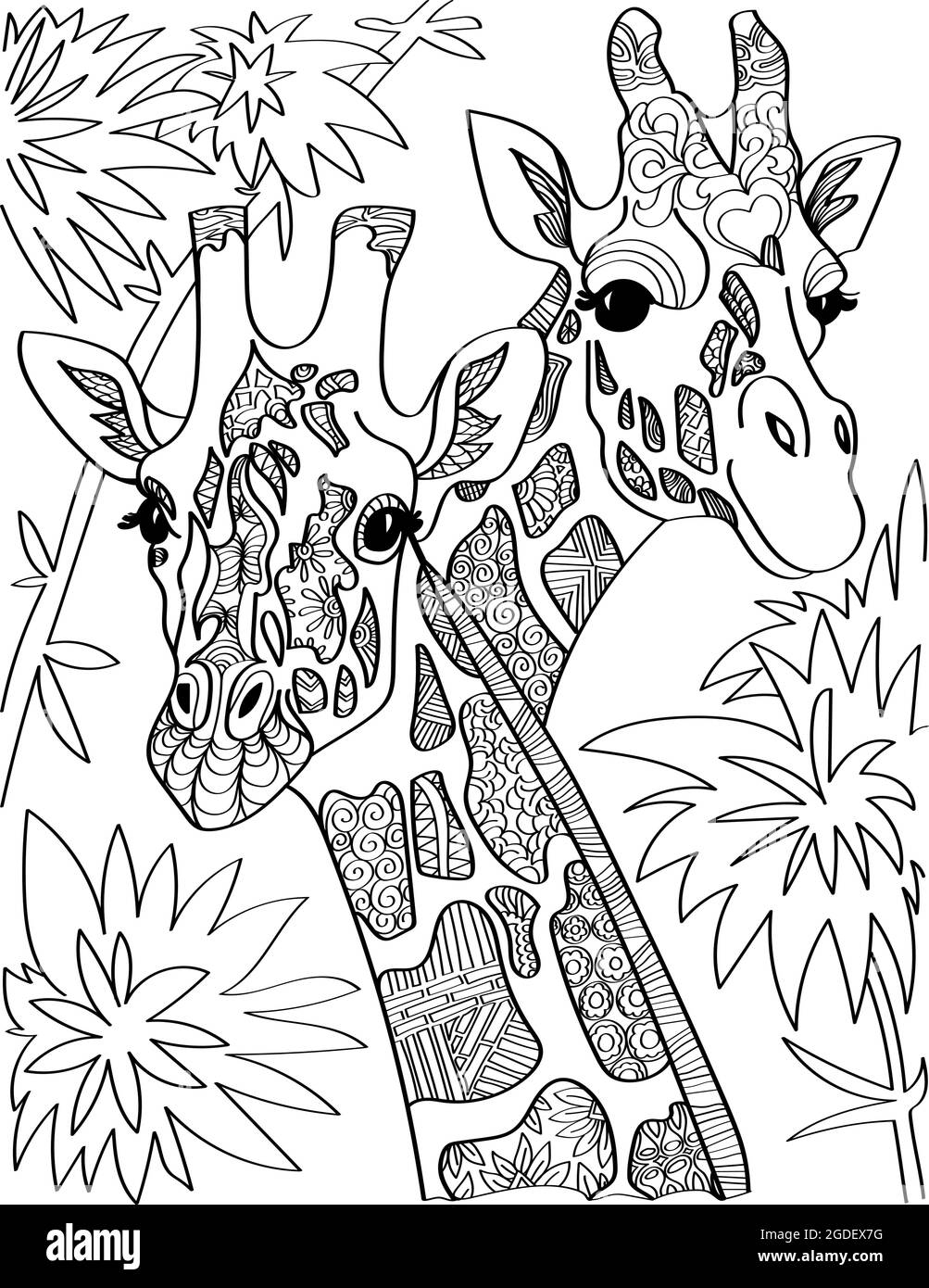 Two Giraffe Head Looking At Both Sides With Tall Trees Colorless Line Drawing Giraffa Heads Long Neck With Leaves Background Coloring Book Page Stock Vector Image Art Alamy
