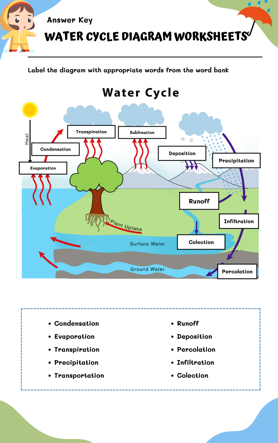 Water Cycle Diagram Worksheets WorksheetsGO