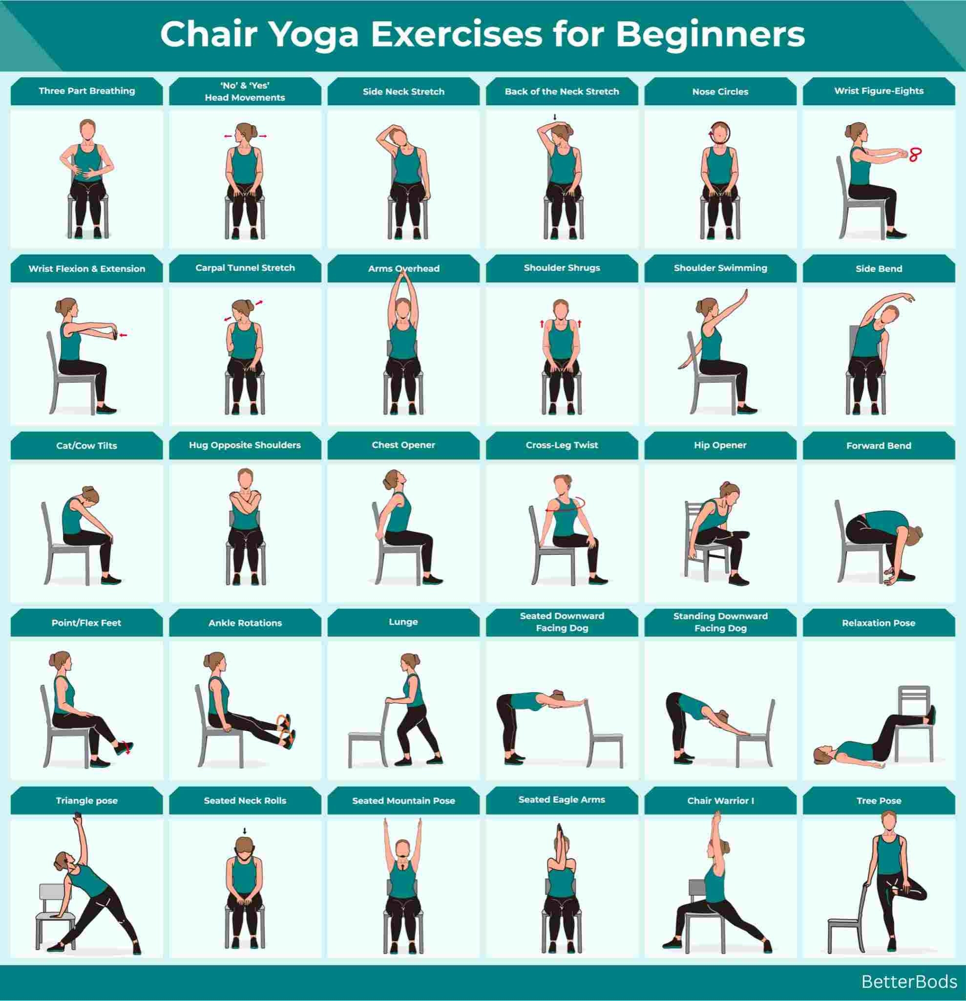 24 Chair Yoga Poses For Beginners All Ages Flashcard Cards Sauna  24 Chair Yoga Poses For Beginners All Ages Flashcard Cards Sauna