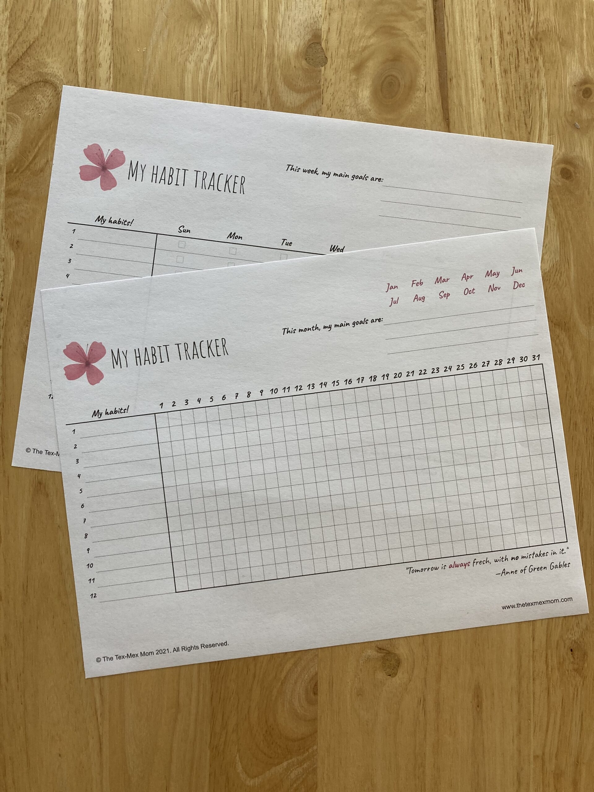 Free Habit Tracker Printable and Why You Should Use One The Tex Mex Mom