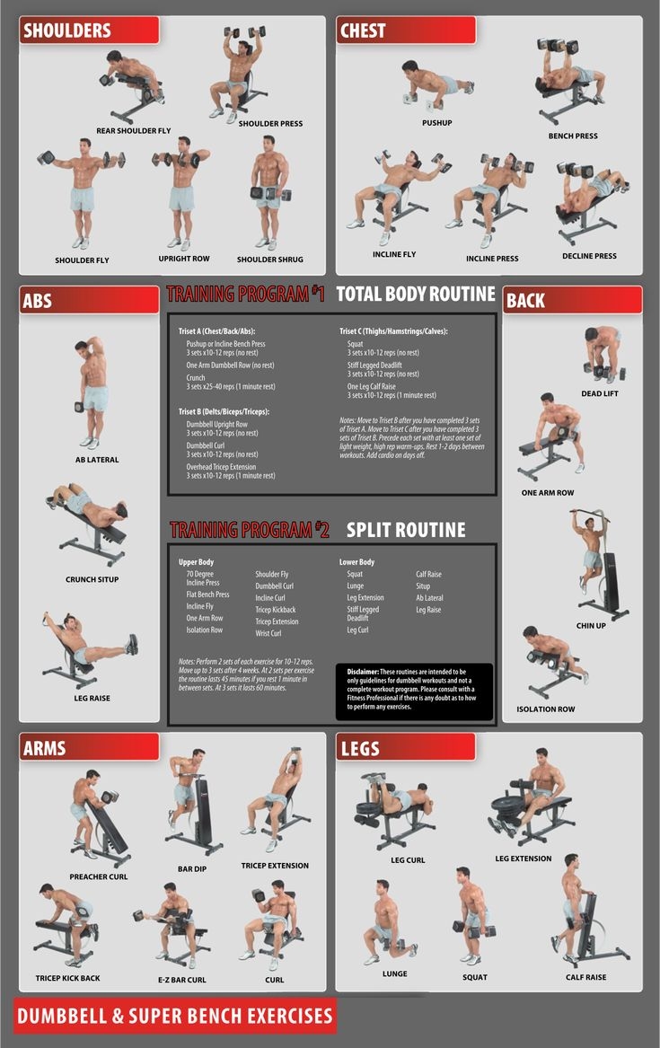 Workout Charts Exercises 10 Free PDF Printables Printablee Free Weight Workout Weight Lifting Workouts Workout Charts Exercises 10 Free PDF Printables Printablee Free Weight Workout Weight Lifting Workouts